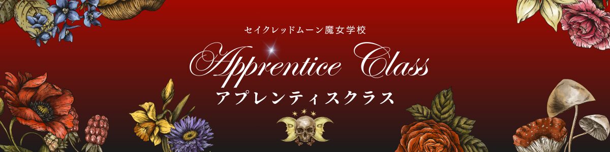 セイクレッドムーン魔女学校・ミラクルヒーリングアカデミー